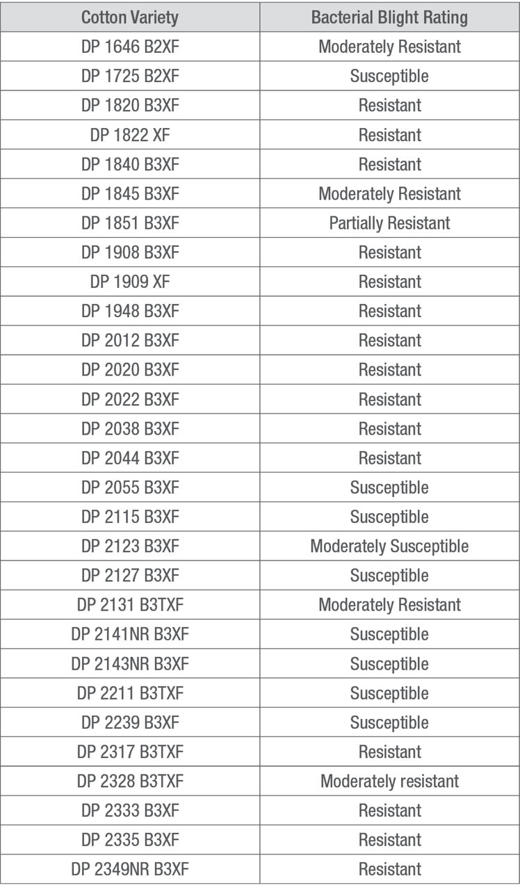 Bacterial blight ratings